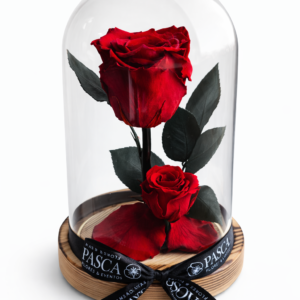 Rosa Preservada XL