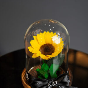 Girasol Preservado XL