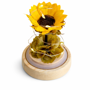 Alternative view of Girasol Preservado S con luz