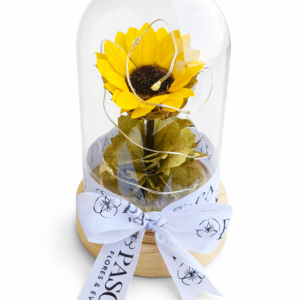 Girasol Preservado S con luz