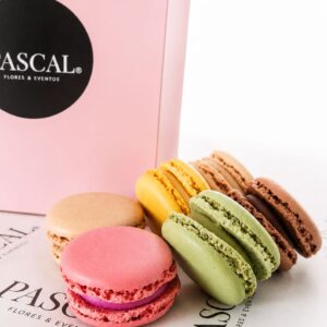 Alternative view of Canasto Silvestre M + 6 macarons