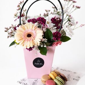 Canasto Silvestre M + 6 macarons