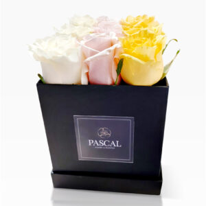 Caja Tricolor 9 Rosas