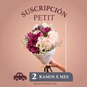 Suscripción Mensual (Ramo Petit) 2 ramos x mes