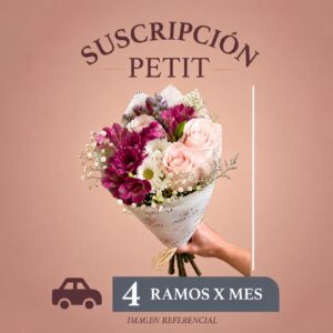 Suscripción Mensual (Ramo Petit) 4 ramos x mes