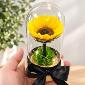 Girasol Preservado con luz